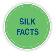 silk facts